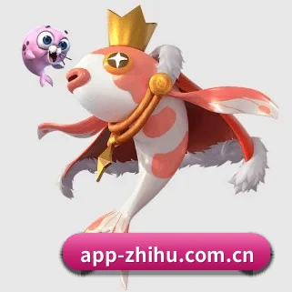 专业赛事服务, 为你而来
