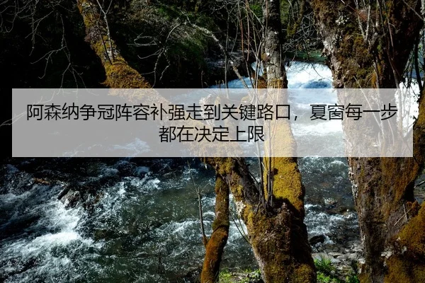 阿森纳争冠阵容补强走到关键路口，夏窗每一步都在决定上限
