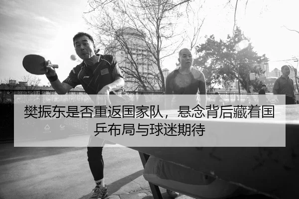 樊振东是否重返国家队，悬念背后藏着国乒布局与球迷期待